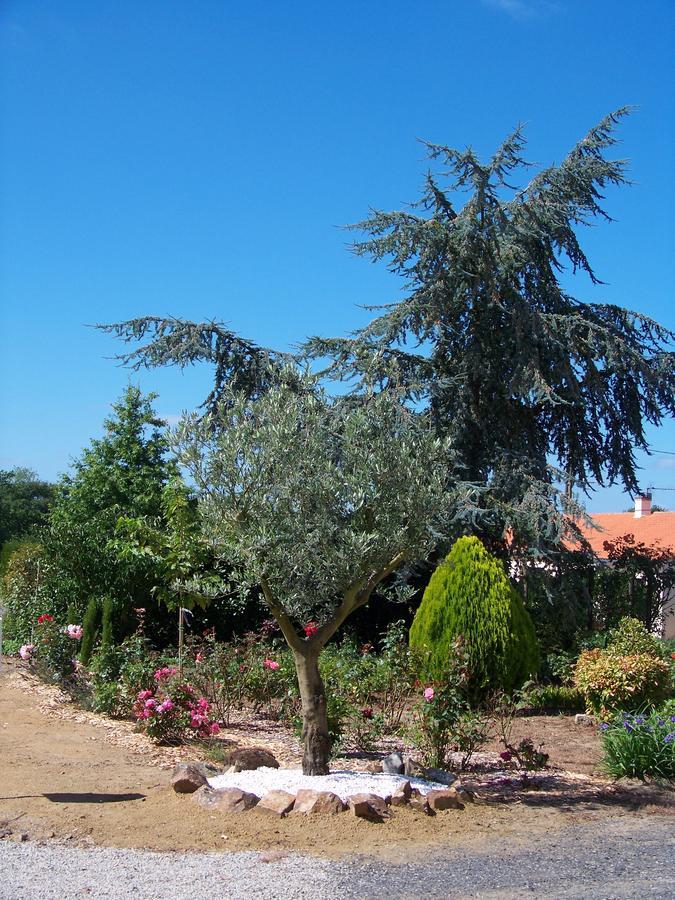 TillieresLa Genoise住宿加早餐旅馆 外观 照片